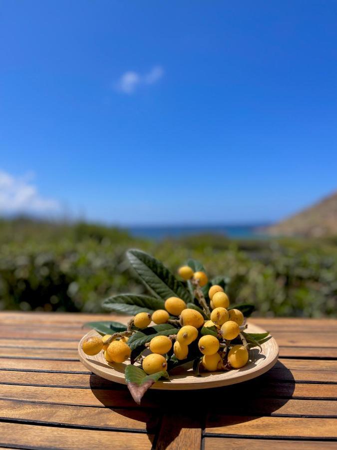 Seaside Studios Arkasa Karpathos מראה חיצוני תמונה