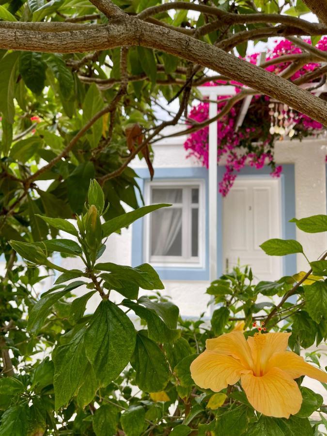 Seaside Studios Arkasa Karpathos מראה חיצוני תמונה