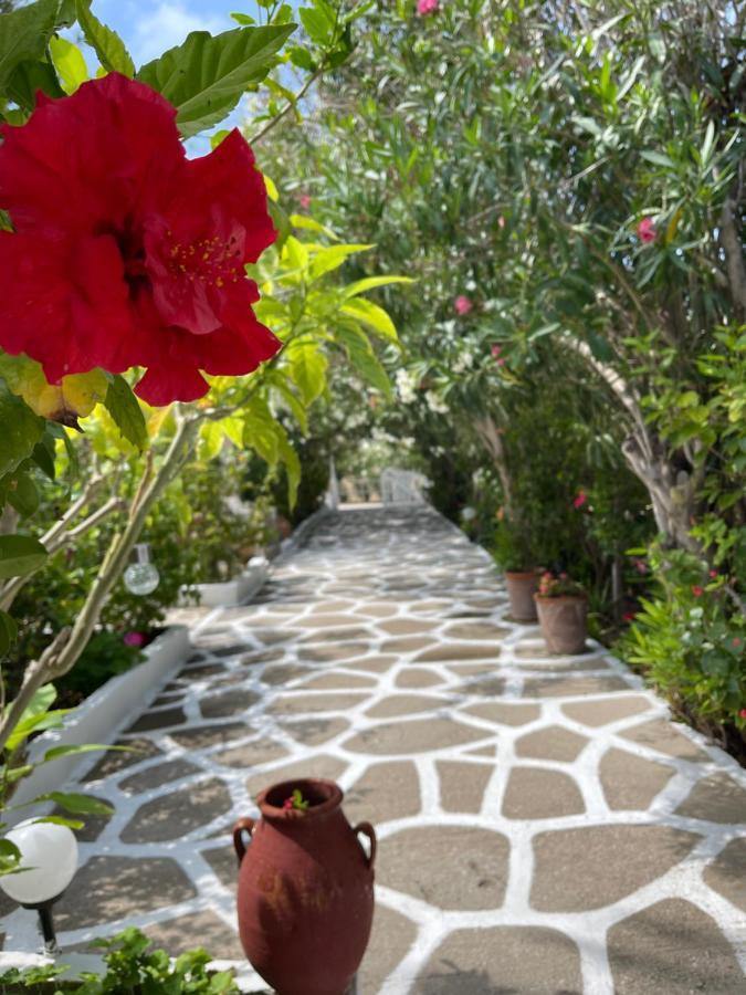 Seaside Studios Arkasa Karpathos מראה חיצוני תמונה